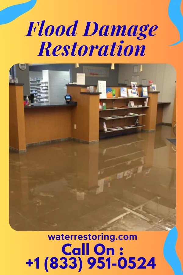 Flood Damage Restoration in Robersonville, NC