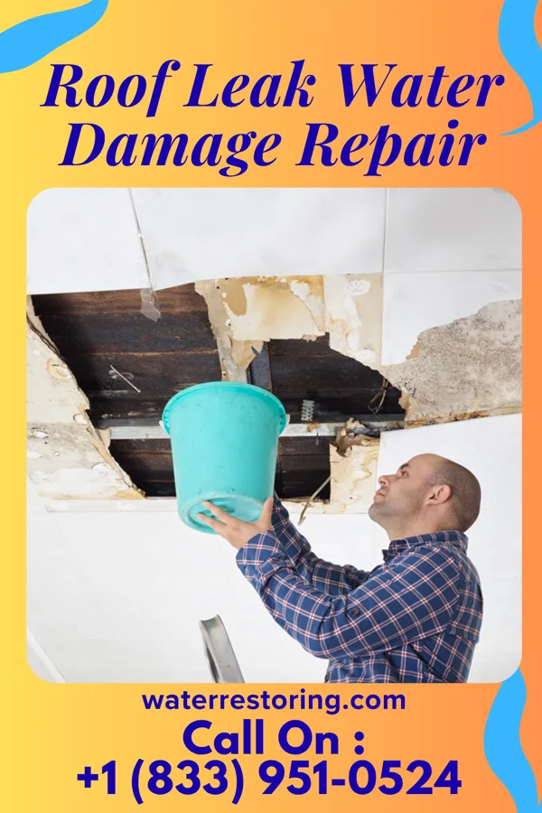 Roof Leak Water Damage Repair in Robersonville, NC