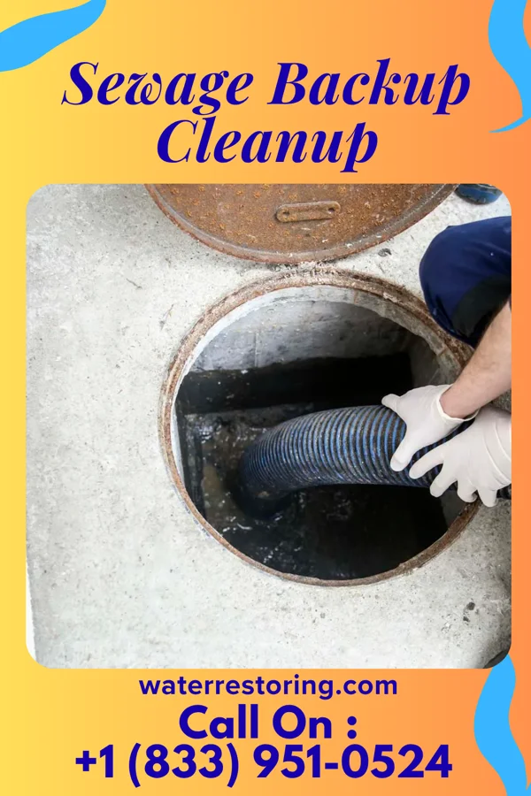 Sewage Backup Cleanup in Robersonville, NC